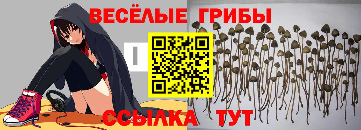Псилоцибиновые грибы MAGIC MUSHROOMS Лысьва