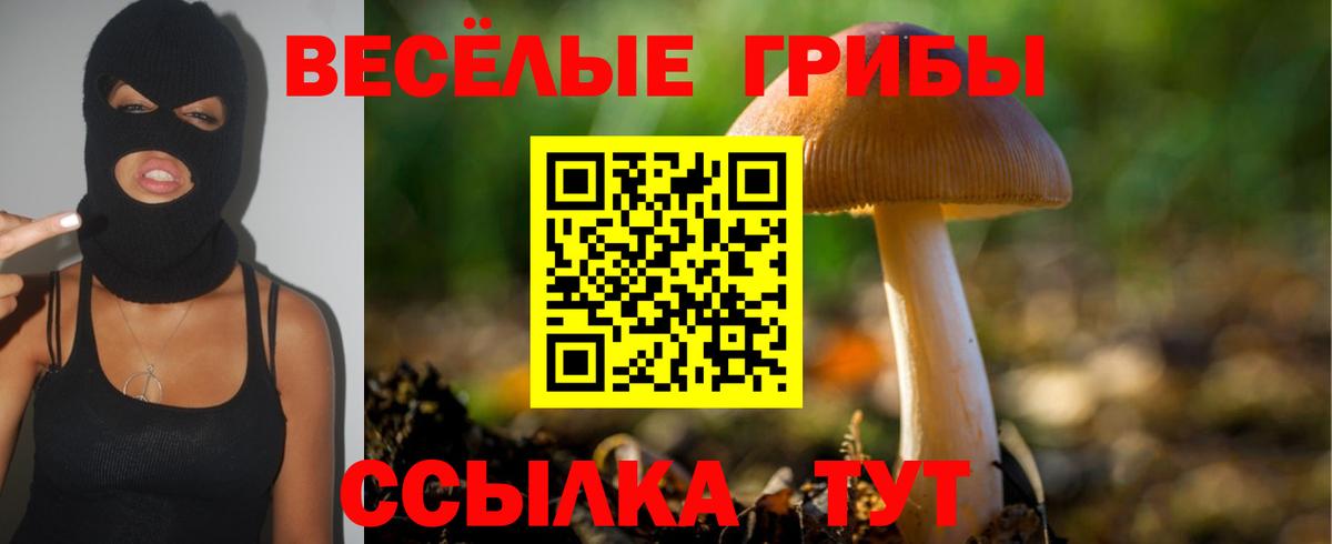 цены   Псилоцибиновые грибы MAGIC MUSHROOMS  Вход с VPN  Лысьва 